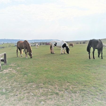 Greenways Valley Holiday Park Great Torrington Bagian luar foto
