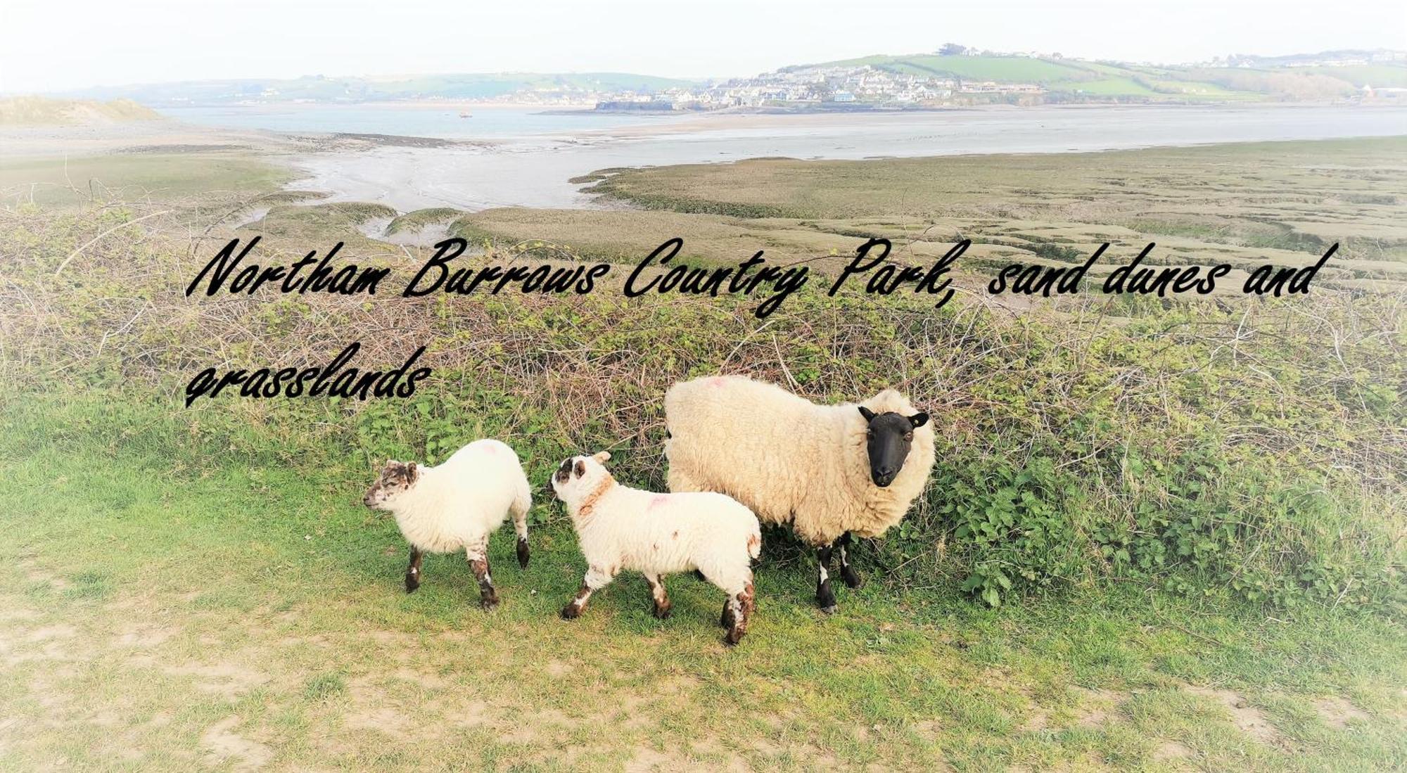 Greenways Valley Holiday Park Great Torrington Bagian luar foto