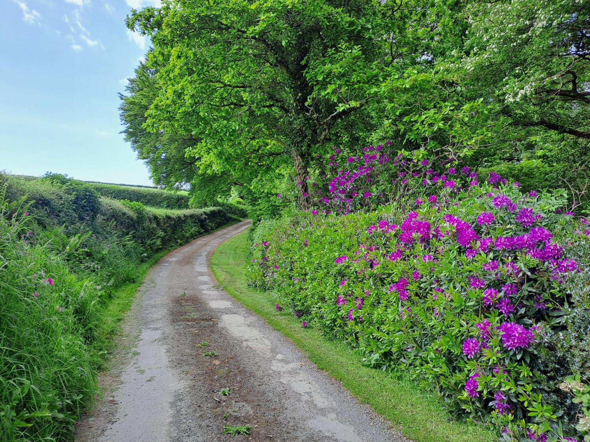 Greenways Valley Holiday Park Great Torrington Bagian luar foto